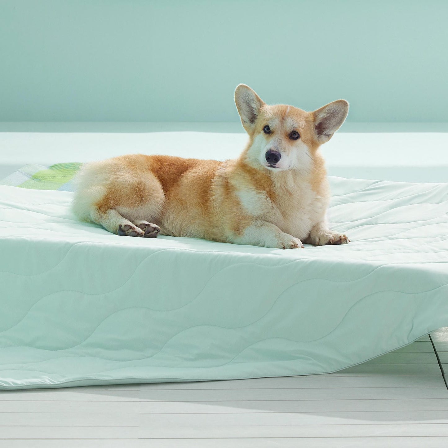 Premium Pet Cooling Blanket