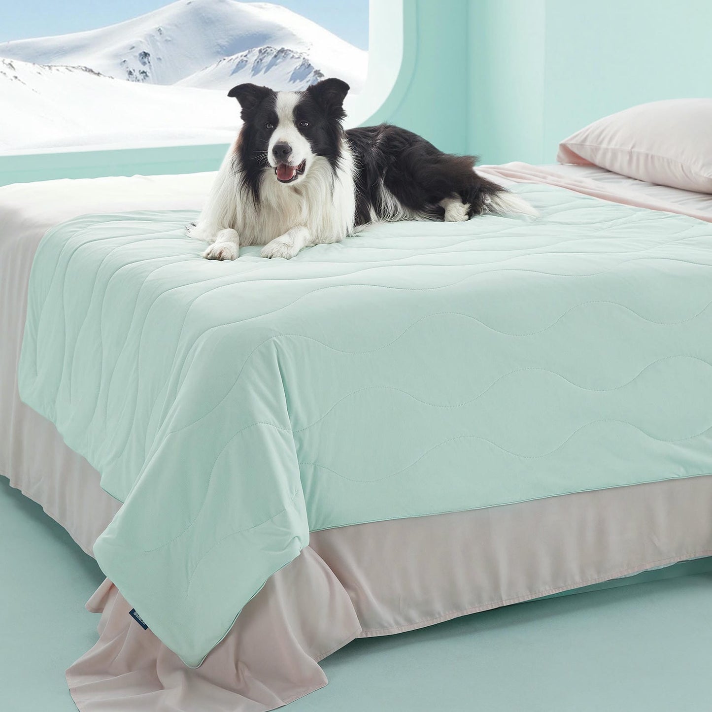 Premium Pet Cooling Blanket